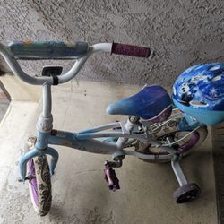 Frozen Kids Bike with Training Wheels, Baby Doll Seat, And Helmet