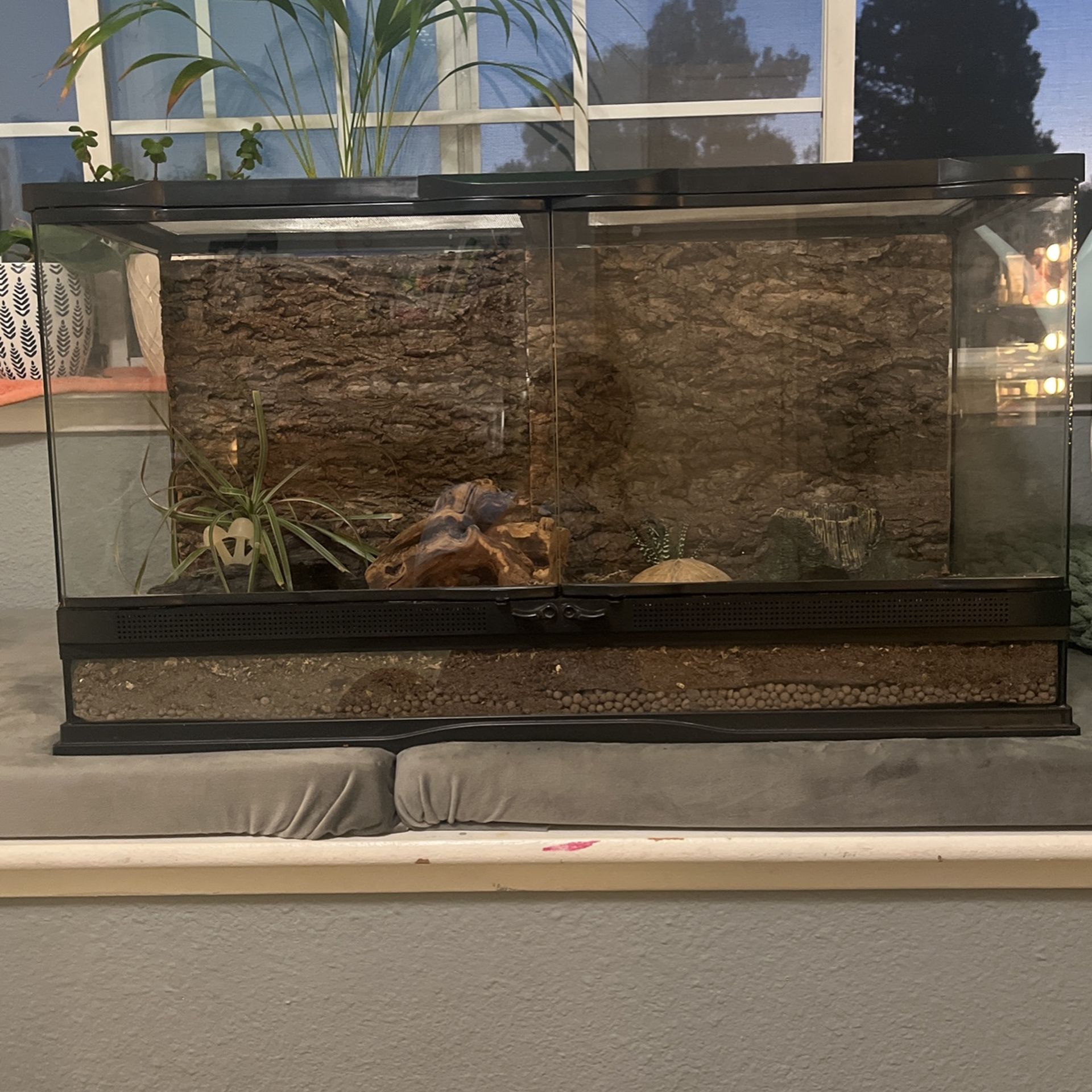 25 Gallon Used Reptile Tank Ready To Use! for Sale in Livermore, CA