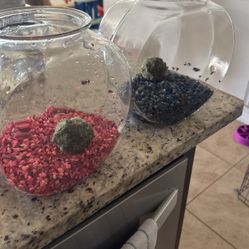 Two Fish Bowls With Rocks