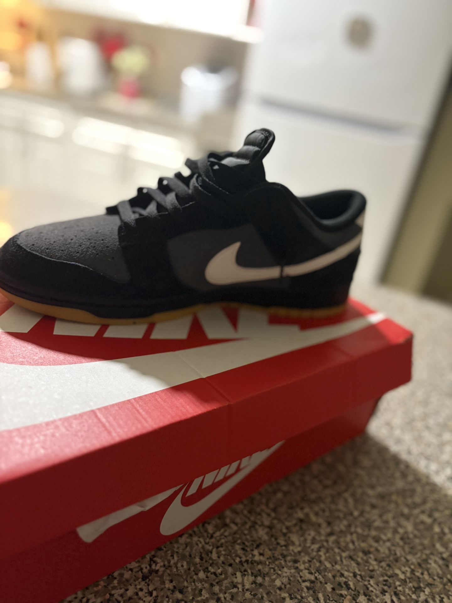 Nike dunks (Size: 9.5 MENS)