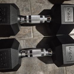 New Rogue 22.5  Dumbells Weights 