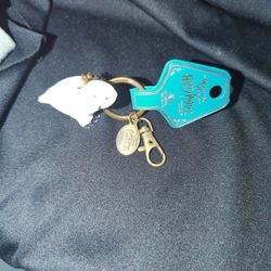 Hedgewig key Chain 
