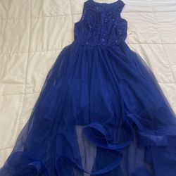 Royal Blue Dress 
