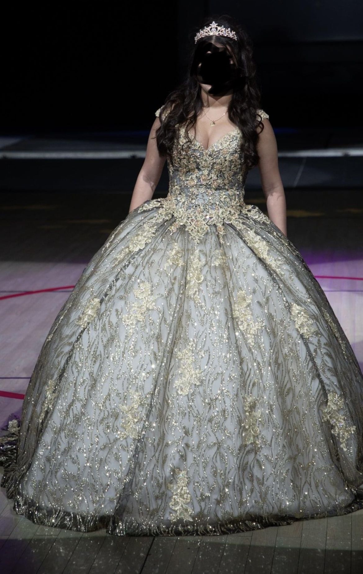 Quinceañera Ball Gown Dress