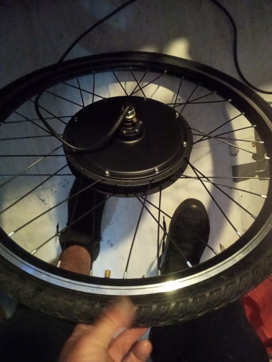 Electric Motor