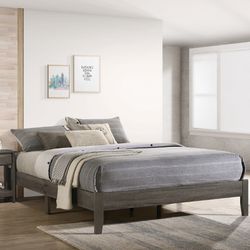 Queen Platform Bed W. Ortho Mattress Included