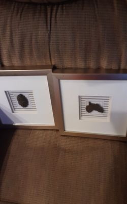 Gold Frames with Metal Medallions