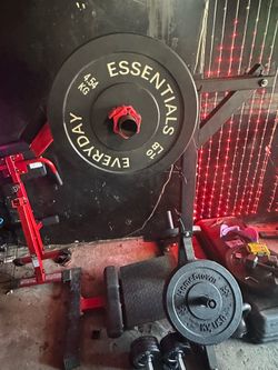 Leg Press and Calf Raise