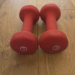 3lb Weights