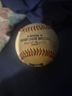Official minor league baseball