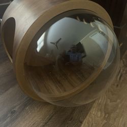 Cat Bubble 
