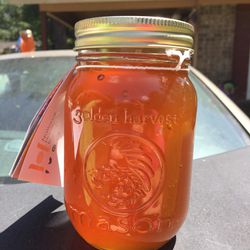 Fresh Gallberry Honey 1 Pint Jar 