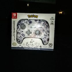 Nintendo Switch Controller