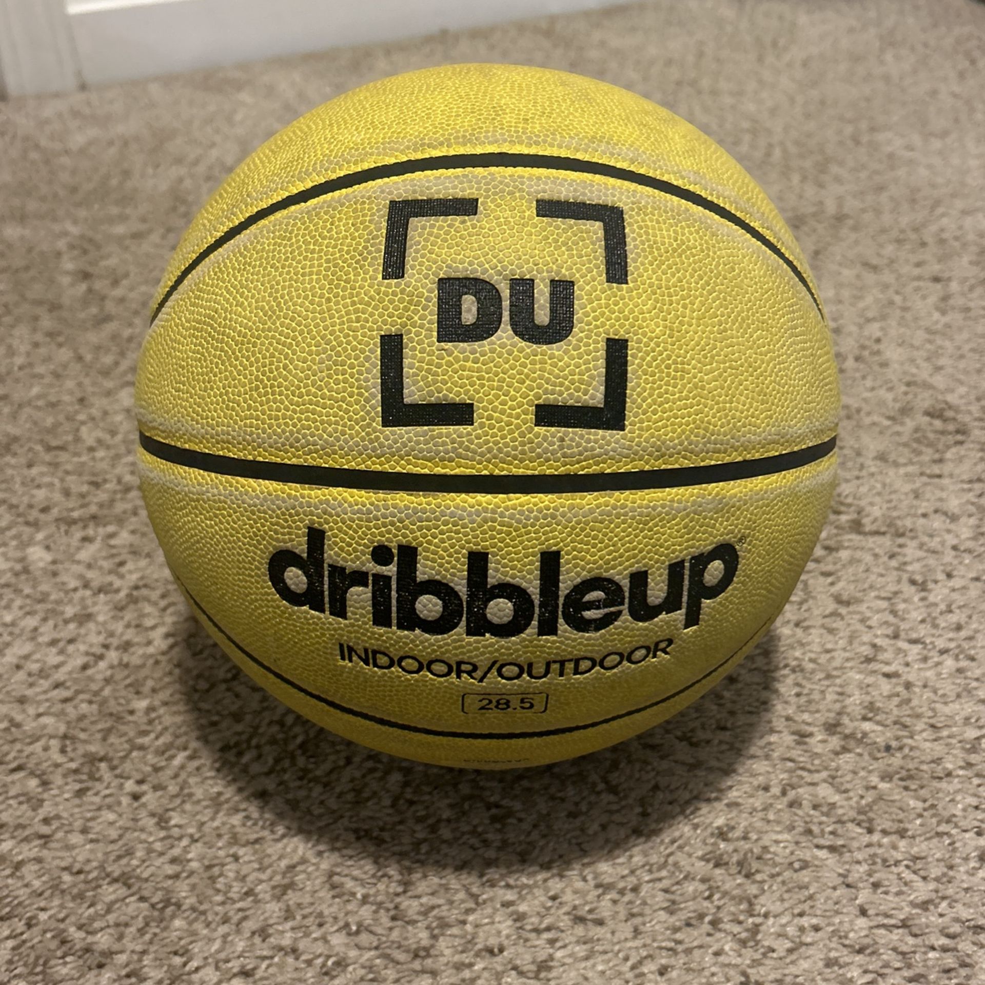 DribbleUp Ball For Cheap