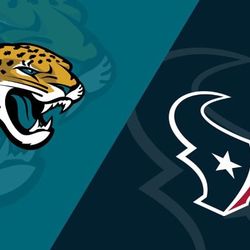 CHEAP TEXANS VS JAGS LOWER LEVEL