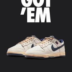 Nike Dunk Low x Stranger Things

Phantom and Midnight Navy
