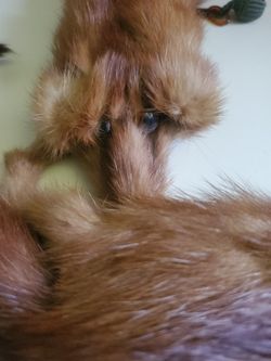 Womens Fur