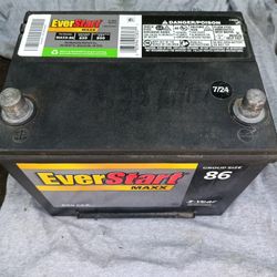 Everstart Battery New ! 
