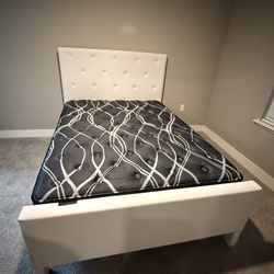Queen Bed Frame White With Mattress Available And Different Colors 