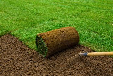 Sod/ Turf Read Description