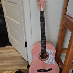 Rogue Acoustic Guitar 