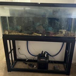 50 Gallon Fish Tank