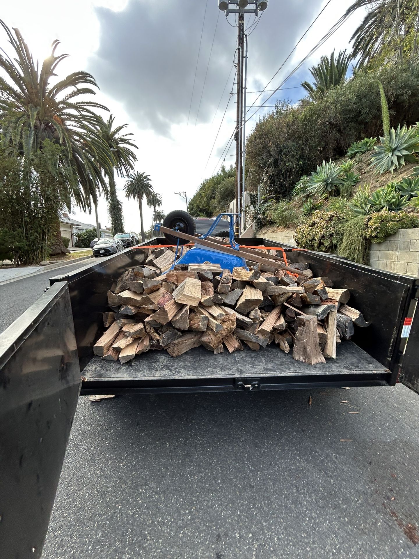 Firewood