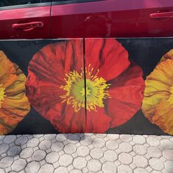 Red And Yellow Poppy I & II By Pip Bloomfield 2-pc Canvas Art Set (35” X35”) $40 Both Firm On Price