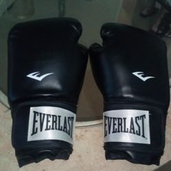 Everlast boxing Gloves 