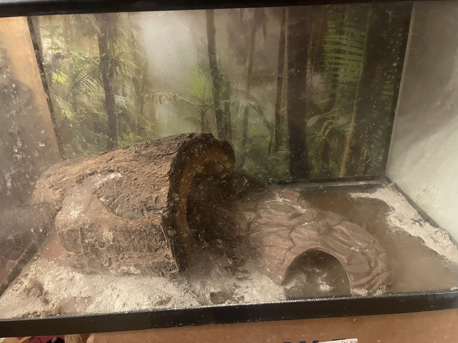 Fish Tank / Bearded Dragon Cage