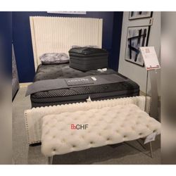 Cream Queen / Eastern King / California King Size Bed Frame