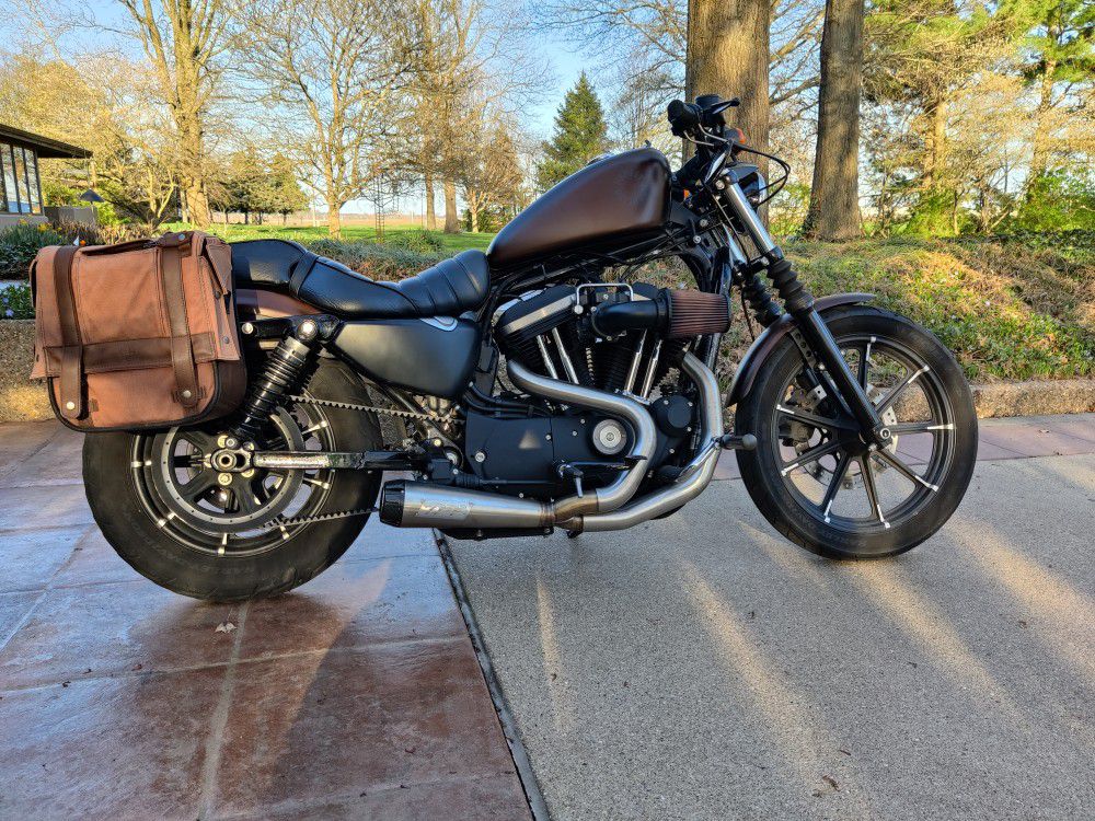 2019 Harley Davidson Sportster Iron XL 883N