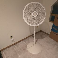 Stand Up Fan
