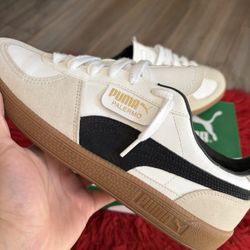 Puma Perlemo