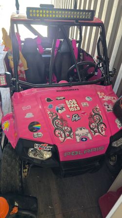 2010 Polaris Rzr 170