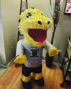 Custom Made Piñata