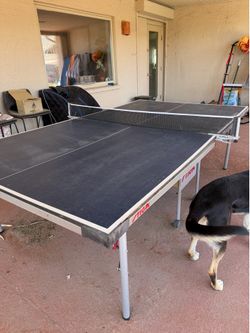 Ping pong table