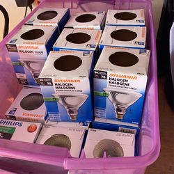Halogen Light Bulbs