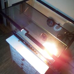 🦎 Thrive Terrarium +💡+ Lamp