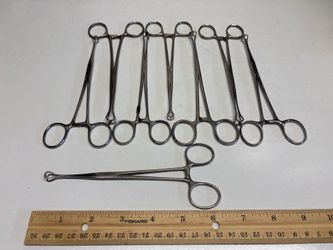 8 Stainless Steel Sponge Forceps / Sponge Holders – Approx. 7”