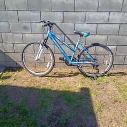 Adult Bike /Bicicleta Para Adultos