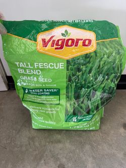 Grass Seeds