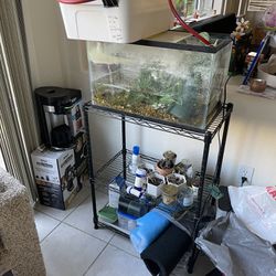 Fish Tank with Accessories & Shelf Rack
