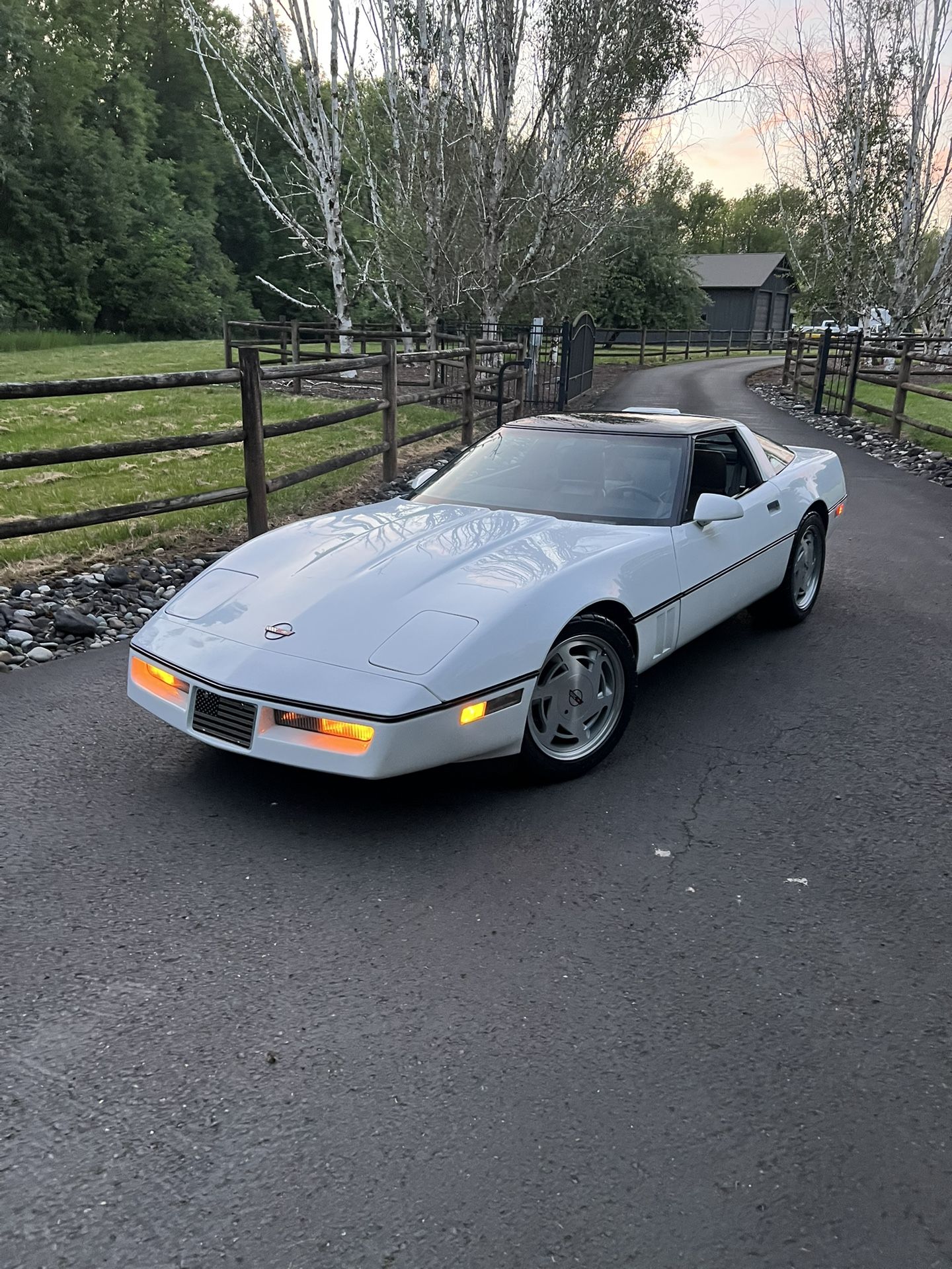1989 Chevrolet Corvette
