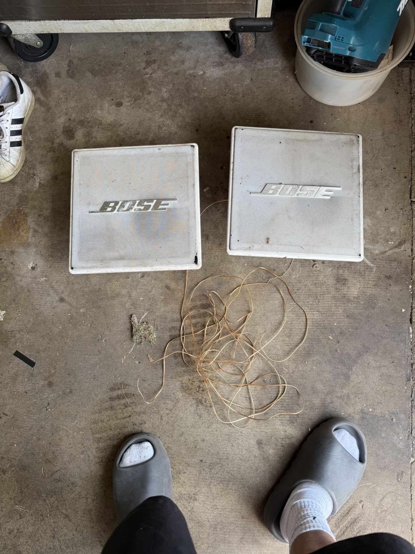 Bose Speakers 