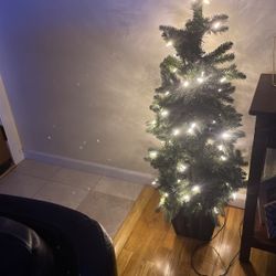 4 Ft Lighted Tree
