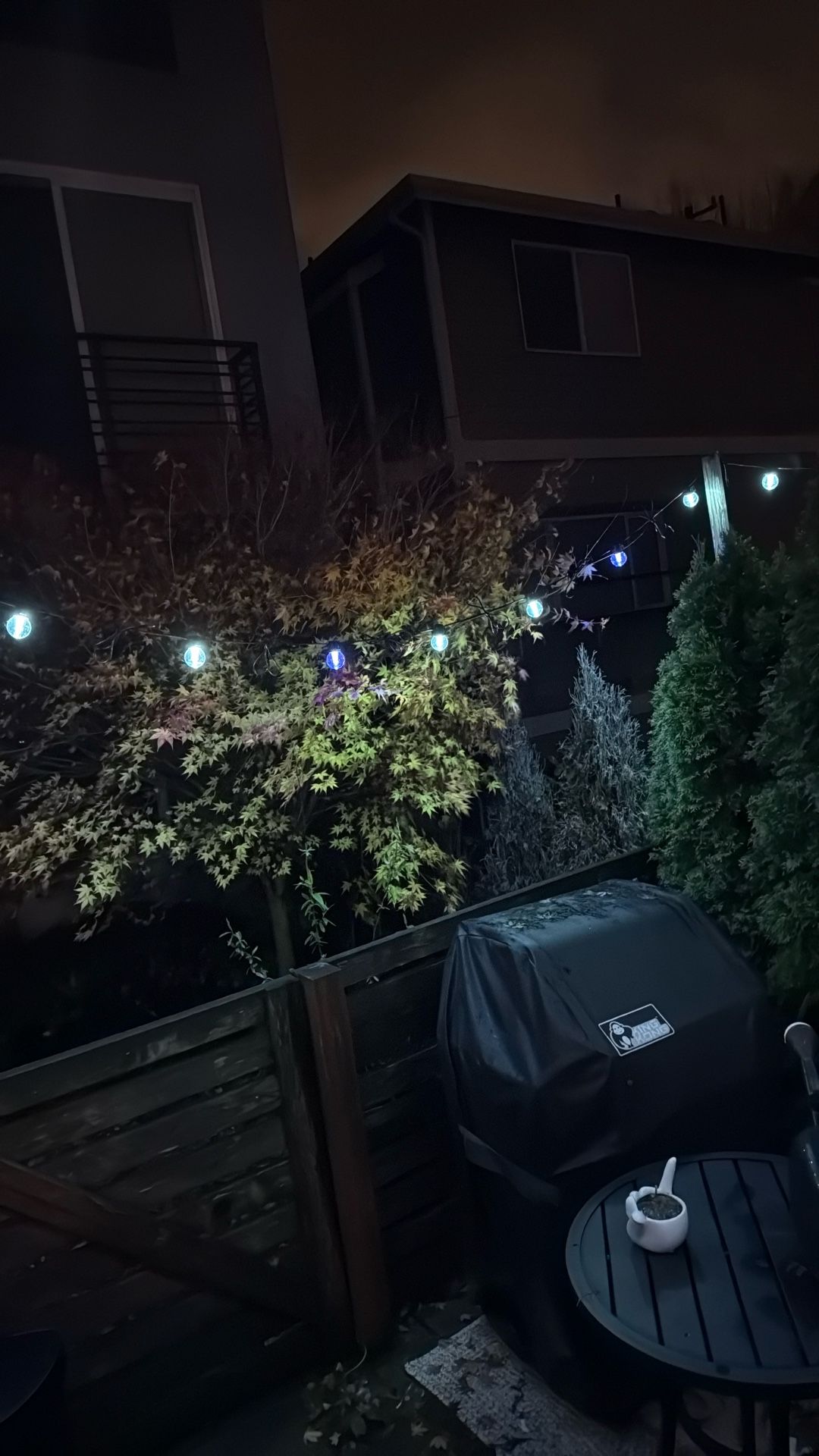 Eufy outdoor smart String Lights