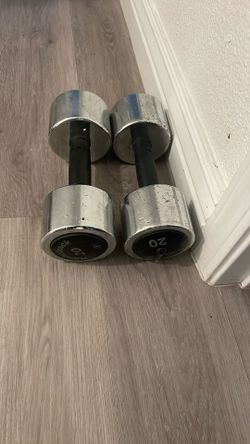 20 Lb Dumbbells