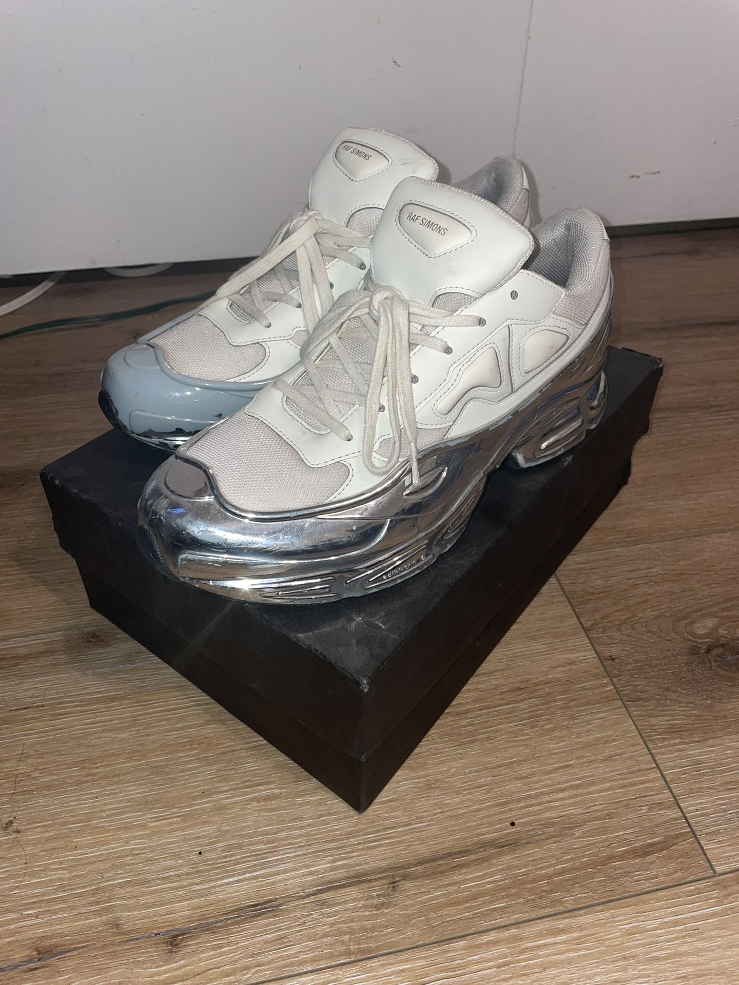 Adidas RAF SIMONS RS OZWEEGO