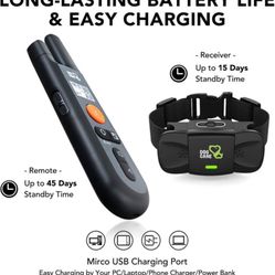 Whosale 6$ Dog Training Collar